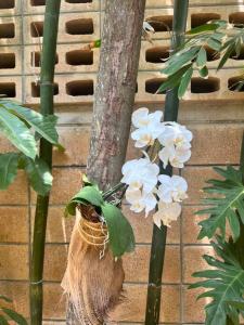 Jungle Oasis - Villa with Private Pool