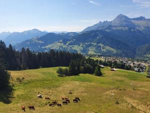 Chalets Chalet de la Marmotte : photos des chambres