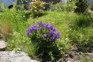 Chalets Cabanelise : photos des chambres