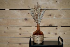 Chalets Cabanelise : photos des chambres