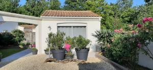 studio maisonnette