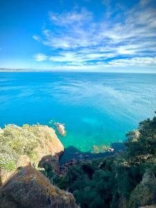 Appartements Vue mer - Refait a neuf - Clim - Parking - 4 personnes : photos des chambres