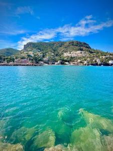 Appartements Vue mer - Refait a neuf - Clim - Parking - 4 personnes : photos des chambres