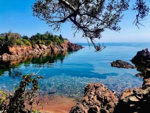 Appartements Vue mer - Refait a neuf - Clim - Parking - 4 personnes : photos des chambres