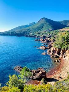 Appartements Vue mer - Refait a neuf - Clim - Parking - 4 personnes : photos des chambres