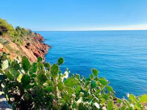 Appartements Vue mer - Refait a neuf - Clim - Parking - 4 personnes : photos des chambres