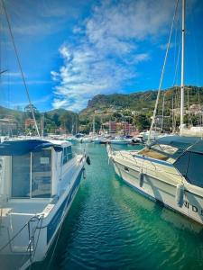 Appartements Vue mer - Refait a neuf - Clim - Parking - 4 personnes : photos des chambres