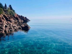 Appartements Vue mer - Refait a neuf - Clim - Parking - 4 personnes : photos des chambres