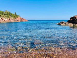 Appartements Vue mer - Refait a neuf - Clim - Parking - 4 personnes : photos des chambres