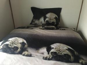 Oasis Wadaura - Vacation STAY 85732v