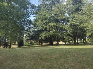 Sejours a la campagne Castle Of Saint Germain Des Rives : photos des chambres