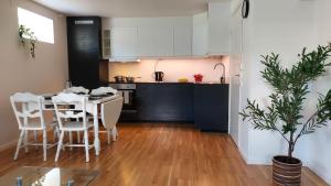 Central modern Lyse Fjord apartment