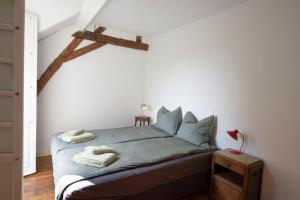 Huis op een eiland in de Loire