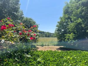 Maisons de vacances Huis op een eiland in de Loire : photos des chambres