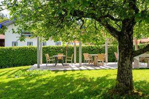 Ferienwohnungen Maderhof