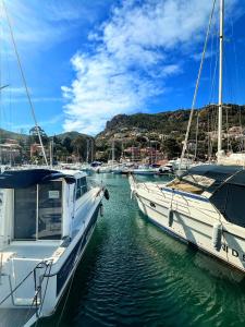 Appartements Theoule - Refait a neuf - 6 personnes - Parking - Clim : photos des chambres