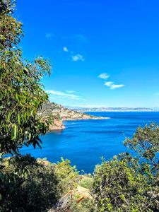 Appartements Theoule - Refait a neuf - 6 personnes - Parking - Clim : photos des chambres