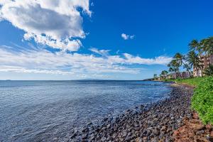 New! Maalaea Banyans 204 - Expansive Ocean Views!