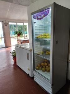Alternativa compartida