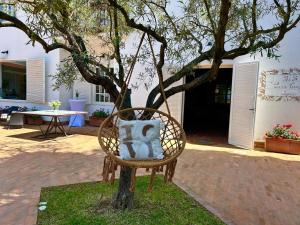 Casa Consalvo B&b