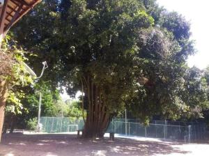 Casa de dois quartos no paraíso de Praia do Forte