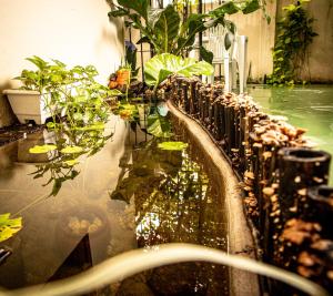 Pousada Residencial Porto de Galinhas