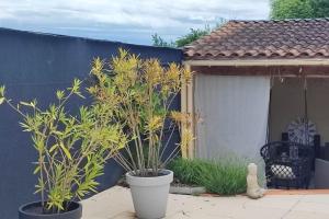 Villas La Villa Benedictins avec piscine : photos des chambres
