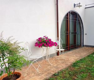 Agriturismo PIAN DEL GRANO Azienda agricola