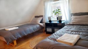 Central modern Lyse Fjord apartment