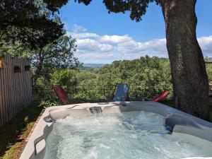 Le grand chêne vert - Bagnols-sur-Cèze