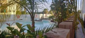 Kentia golf Playa Granada