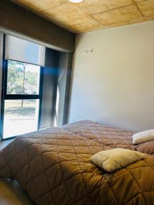 El olivo departamentos