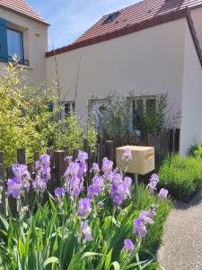 Appartements La Maisonnette - Disneyland Paris : photos des chambres