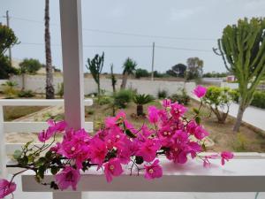 Sicilia Noto San Lorenzo Villa Amaranto