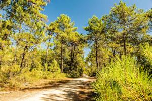 Maisons de vacances Les Pivoines Maison climatisee, proximite mer, plages et forets : photos des chambres