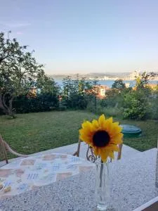 Apartment Rea - Žusterna