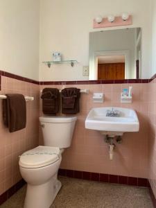 Seahorse Inn