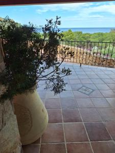 Villa Caldinelli img56