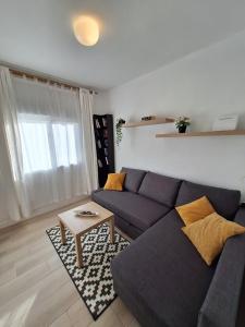 Bonanza Sea Horse Vacations