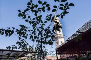 Il Mondo di Mia