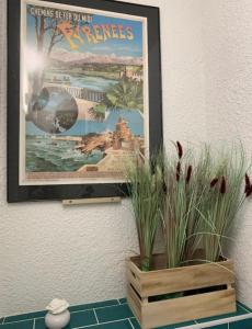 Appartements La Suite Unique - Le jardin sur les Pyrenees- vue panoramique montagne -jardin cloture prive de 100m2-Parking-Linge de lit et serviettes compris- : photos des chambres