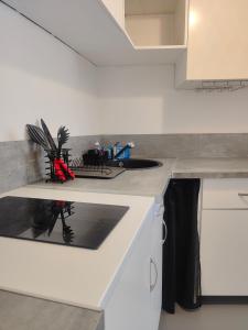 Appartements Gite PEGASUS - 5 min plage : photos des chambres