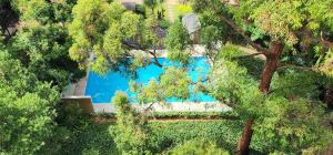 Opera House & Bridge Views