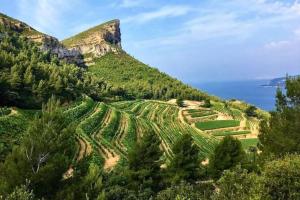 Chalets Cottage Jungle Chic en Provence : photos des chambres