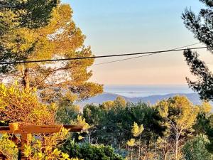 Chalets Cottage Jungle Chic en Provence : photos des chambres