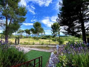 Chalets Cottage Jungle Chic en Provence : photos des chambres