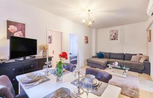 Beautiful Home In Budrovac With Wi-Fi