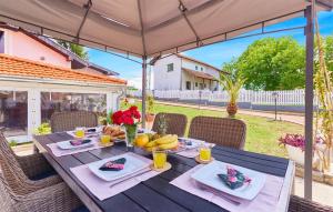 Beautiful Home In Budrovac With Wi-Fi