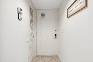 211 Oceans of Amelia