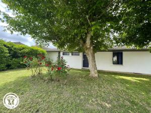 Maisons de vacances Gite cosy 2 pers. pres des plages et du Marais Poitevin, avec terrasse couverte - tout inclus - FR-1-426-550 : photos des chambres